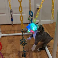 processed/24772b27-e454-4078-9baa-31c568b95da6/facility/892e52e4-04a7-48eb-9f23-04d25c198b72