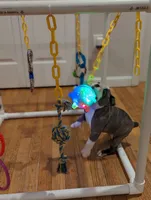 processed/24772b27-e454-4078-9baa-31c568b95da6/facility/892e52e4-04a7-48eb-9f23-04d25c198b72