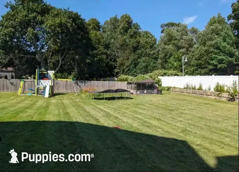 processed/24772b27-e454-4078-9baa-31c568b95da6/facility/bafaea18-1df1-434c-9f38-78ff48d346cc