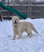 processed/247789cf-8706-4389-9201-baa4bcbda01d/listing/4505bea5-983f-410f-9782-99b694115734/49a1fe66-2996-475f-800a-3466953ac944