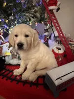 processed/247789cf-8706-4389-9201-baa4bcbda01d/listing/4505bea5-983f-410f-9782-99b694115734/8fbc7fd8-3c90-404c-b1cc-3b212f17011d