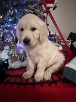 processed/247789cf-8706-4389-9201-baa4bcbda01d/listing/98057765-440c-4ac8-a3e6-7e6de36e3f40/d12af989-2949-4535-bbc2-6b7ed2f86b1e