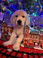 processed/247789cf-8706-4389-9201-baa4bcbda01d/listing/c84c9b4d-d2bd-4809-91ec-0823446a89ae/0e449291-6229-4b27-83f8-9b6328c05ad7