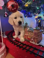 processed/247789cf-8706-4389-9201-baa4bcbda01d/listing/c84c9b4d-d2bd-4809-91ec-0823446a89ae/32934629-5389-4f47-a037-4441a22f3a0c