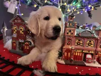 processed/247789cf-8706-4389-9201-baa4bcbda01d/listing/c84c9b4d-d2bd-4809-91ec-0823446a89ae/4bfff7e1-5075-4392-a27d-9e30d812b36a