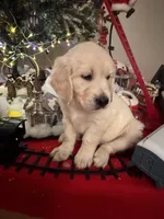 processed/247789cf-8706-4389-9201-baa4bcbda01d/listing/c84c9b4d-d2bd-4809-91ec-0823446a89ae/ac4f329d-1f5f-4ae6-83fa-93e381c911a6