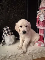 processed/247789cf-8706-4389-9201-baa4bcbda01d/listing/fed6b32d-43c6-464a-adfe-9fc4b9be4d01/2735bfb1-3f96-4688-883b-0b534f9b0114