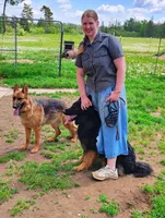 Aida, a female German Shepherd Dog for sale in Iron Mountain, MI – 6 of 10