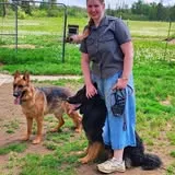 Kaylah's Lilac collar GSD female, a female German Shepherd Dog for sale in Iron Mountain, MI – 8 of 8