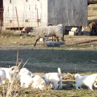 processed/24ac4c01-6c0e-4ff0-b584-61cae97d5d3b/facility/2c48db50-52cd-4169-acf0-d9f25d9dd2d7