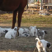 processed/24ac4c01-6c0e-4ff0-b584-61cae97d5d3b/facility/38598536-bef0-480c-a7ec-76a7306b5dce