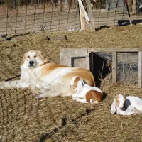 processed/24ac4c01-6c0e-4ff0-b584-61cae97d5d3b/facility/5f00403b-92e1-4ace-a88d-6773afe7ceb0