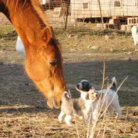 processed/24ac4c01-6c0e-4ff0-b584-61cae97d5d3b/facility/61e146e1-01fd-4af5-98cc-e9f970b81b74