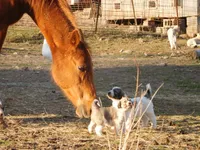 processed/24ac4c01-6c0e-4ff0-b584-61cae97d5d3b/facility/61e146e1-01fd-4af5-98cc-e9f970b81b74