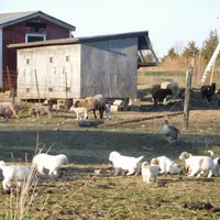 processed/24ac4c01-6c0e-4ff0-b584-61cae97d5d3b/facility/7d683f33-8dbb-4c99-b334-aa1f03c33542