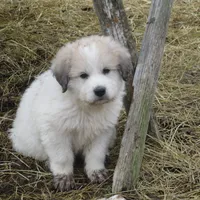 processed/24ac4c01-6c0e-4ff0-b584-61cae97d5d3b/facility/dbc51e40-fc70-4614-8de9-e3e943bca981