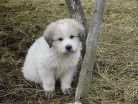 processed/24ac4c01-6c0e-4ff0-b584-61cae97d5d3b/facility/dbc51e40-fc70-4614-8de9-e3e943bca981