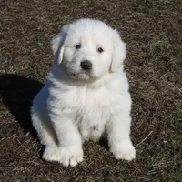 processed/24ac4c01-6c0e-4ff0-b584-61cae97d5d3b/facility/e7b35739-6f1d-408a-ab97-638132d56dc3