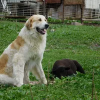 processed/24ac4c01-6c0e-4ff0-b584-61cae97d5d3b/facility/f0f6df34-9f7a-41f7-b4bf-2f73d9589d6c