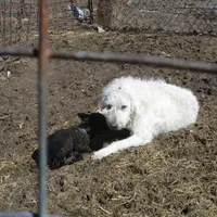 processed/24ac4c01-6c0e-4ff0-b584-61cae97d5d3b/facility/f558a920-ab37-4e31-adcb-e6e79630100d