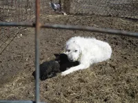 processed/24ac4c01-6c0e-4ff0-b584-61cae97d5d3b/facility/f558a920-ab37-4e31-adcb-e6e79630100d