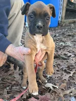 processed/24aefac1-94c9-4a22-af52-41ad8fc17ef6/listing/0b00c03e-a999-4f3d-9171-631468a9e108/a77ea76c-5b39-42ab-897e-c23d92225d2b