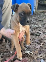 processed/24aefac1-94c9-4a22-af52-41ad8fc17ef6/listing/0b00c03e-a999-4f3d-9171-631468a9e108/e6cc6a2c-ae21-4e2b-b0b1-26109910a11d