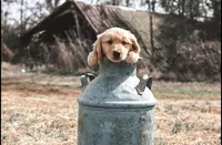 processed/24b29dbf-bf49-4b2f-948c-d7d2682e5976/facility/8ac4e038-f972-461c-8465-71768e1ff36f