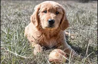 processed/24b29dbf-bf49-4b2f-948c-d7d2682e5976/facility/a010dcaf-7097-4f40-aa21-df997f4587cf