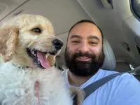 Cooper, a male Miniature Goldendoodle for sale in Wilmette, IL – 3 of 6