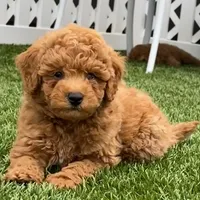 processed/24c0f60d-fa8f-400e-8298-93fef649dcba/facility/41adf4de-dae1-4cfe-8f26-33166bffd20a