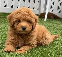 processed/24c0f60d-fa8f-400e-8298-93fef649dcba/facility/41adf4de-dae1-4cfe-8f26-33166bffd20a