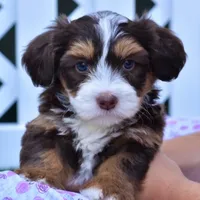 processed/24c0f60d-fa8f-400e-8298-93fef649dcba/facility/42abed40-e87e-49ba-8cd3-163e881eda56