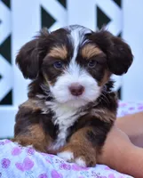 processed/24c0f60d-fa8f-400e-8298-93fef649dcba/facility/42abed40-e87e-49ba-8cd3-163e881eda56