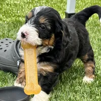 processed/24c0f60d-fa8f-400e-8298-93fef649dcba/facility/4eb1c2f1-bb0e-455d-a85a-c52e9c21f325