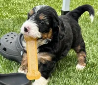 processed/24c0f60d-fa8f-400e-8298-93fef649dcba/facility/4eb1c2f1-bb0e-455d-a85a-c52e9c21f325