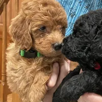 processed/24c0f60d-fa8f-400e-8298-93fef649dcba/facility/6afe5612-1bed-46ad-bcd2-90da12d4927b