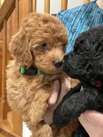 processed/24c0f60d-fa8f-400e-8298-93fef649dcba/facility/6afe5612-1bed-46ad-bcd2-90da12d4927b