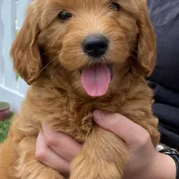 processed/24c0f60d-fa8f-400e-8298-93fef649dcba/facility/86b56760-0948-477b-9f19-88c7249c4ab8