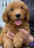 processed/24c0f60d-fa8f-400e-8298-93fef649dcba/facility/86b56760-0948-477b-9f19-88c7249c4ab8