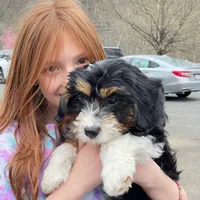 processed/24c0f60d-fa8f-400e-8298-93fef649dcba/facility/89ee8ea6-460f-4929-9c30-ac2cd1d526e1