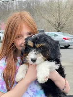 processed/24c0f60d-fa8f-400e-8298-93fef649dcba/facility/89ee8ea6-460f-4929-9c30-ac2cd1d526e1