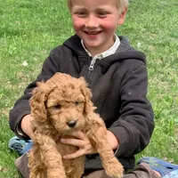 processed/24c0f60d-fa8f-400e-8298-93fef649dcba/facility/8e45aa58-a68d-44d8-a2a9-a846bf1d4762