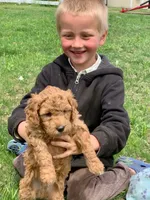 processed/24c0f60d-fa8f-400e-8298-93fef649dcba/facility/8e45aa58-a68d-44d8-a2a9-a846bf1d4762