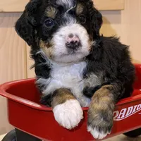 processed/24c0f60d-fa8f-400e-8298-93fef649dcba/facility/9a9c008c-b53b-4698-b84b-e5abbd0e500c