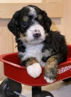 processed/24c0f60d-fa8f-400e-8298-93fef649dcba/facility/9a9c008c-b53b-4698-b84b-e5abbd0e500c