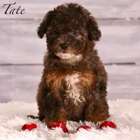 processed/24c0f60d-fa8f-400e-8298-93fef649dcba/listing/dff923ca-9267-41ef-93ee-56f021282c5e/4f5b3e54-ff72-4ae7-965a-54006309abf6