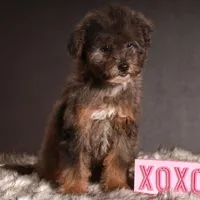 processed/24c0f60d-fa8f-400e-8298-93fef649dcba/listing/dff923ca-9267-41ef-93ee-56f021282c5e/90c74fe5-575b-4b74-91a4-039a556caf16