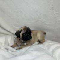 processed/24c3a5bd-eeac-4723-b3e2-94c8c20bc724/listing/870aea55-e0d2-4d28-bf64-4ff6f54327df/6b3fe849-fd1d-4918-96e3-0b09f9b7715d