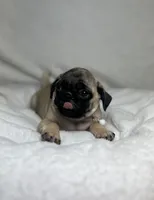 processed/24c3a5bd-eeac-4723-b3e2-94c8c20bc724/listing/870aea55-e0d2-4d28-bf64-4ff6f54327df/aa3bb5ee-9fe6-47b1-befa-63199232f8b3